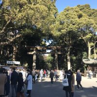 ぶらり散歩⑨ 2018年‐初詣・明治神宮